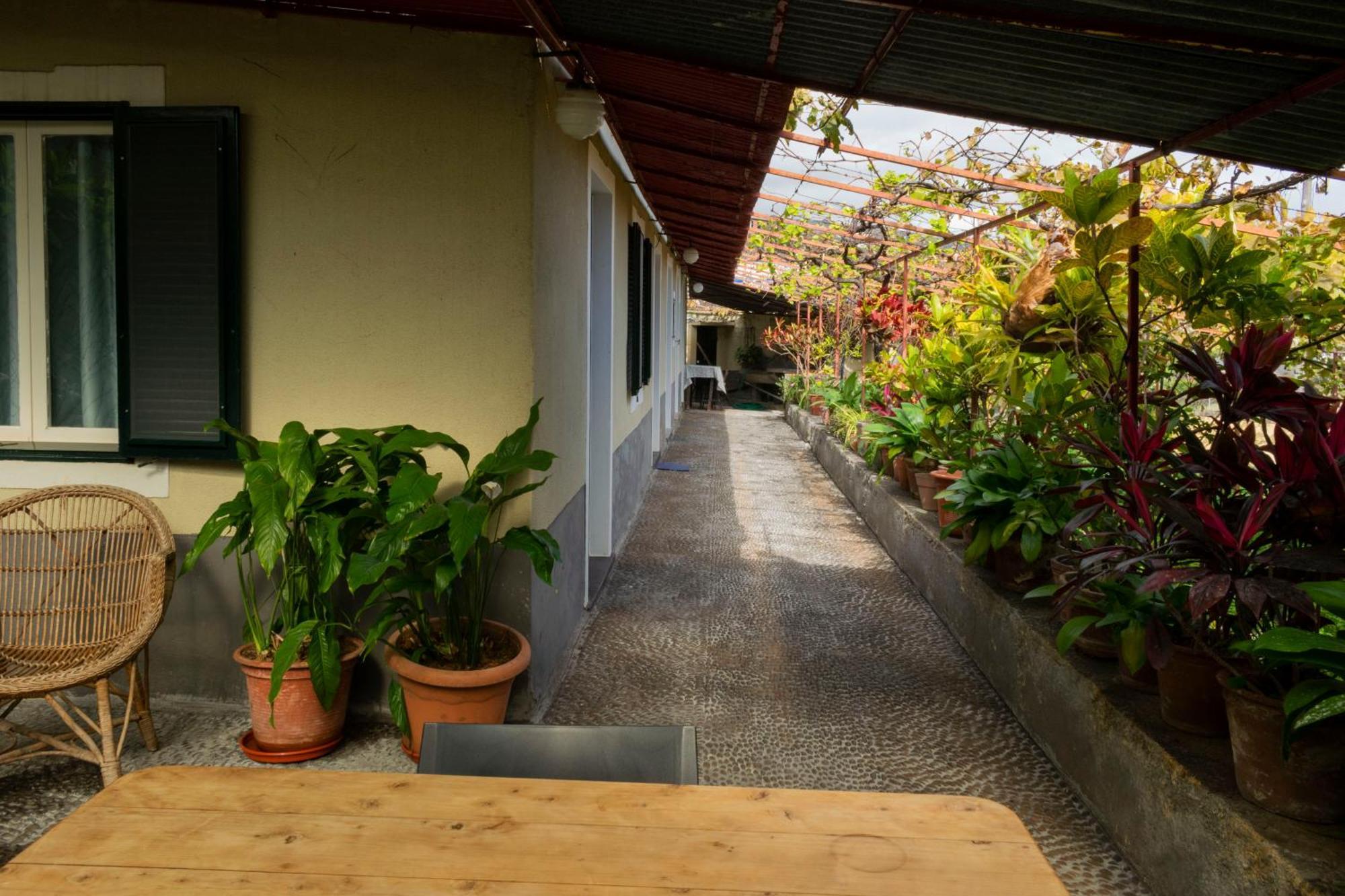 Casa Do Boto Villa Santa Cruz  Eksteriør billede