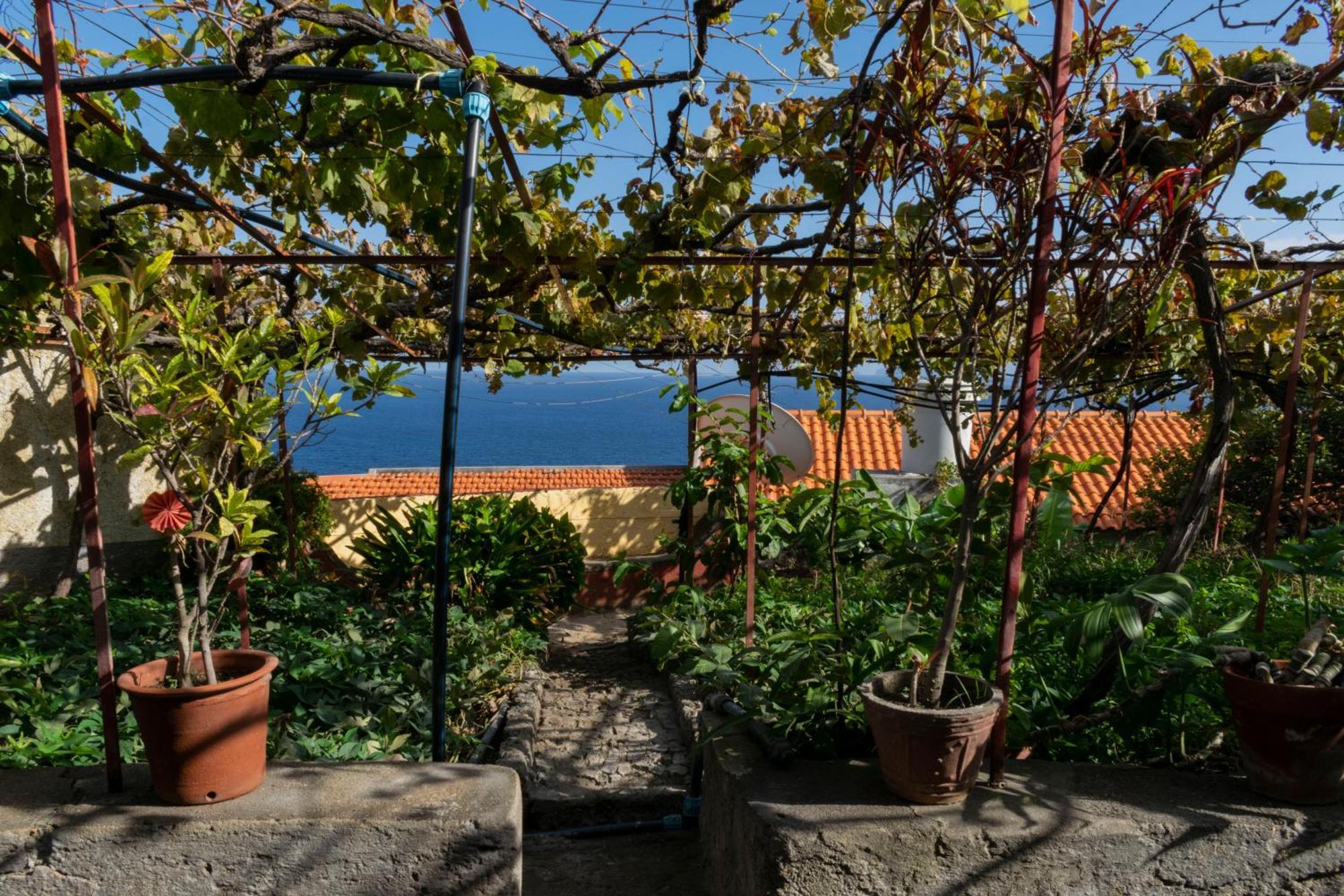Casa Do Boto Villa Santa Cruz  Eksteriør billede